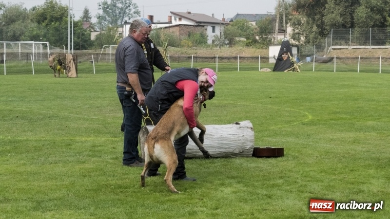 Zdjęcie w galerii na portalu naszraciborz.pl: Miłośnicy psów zjechali do Nędzy. Dwudniowe zmagania w mondioringu  wiadomości z regionu
