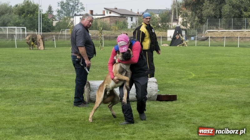 Zdjęcie w galerii na portalu naszraciborz.pl: Miłośnicy psów zjechali do Nędzy. Dwudniowe zmagania w mondioringu  wiadomości z regionu