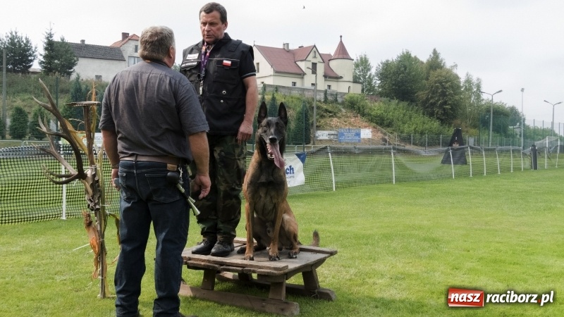 Zdjęcie w galerii na portalu naszraciborz.pl: Miłośnicy psów zjechali do Nędzy. Dwudniowe zmagania w mondioringu  wiadomości z regionu
