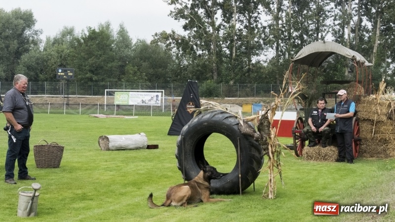 Zdjęcie w galerii na portalu naszraciborz.pl: Miłośnicy psów zjechali do Nędzy. Dwudniowe zmagania w mondioringu  wiadomości z regionu