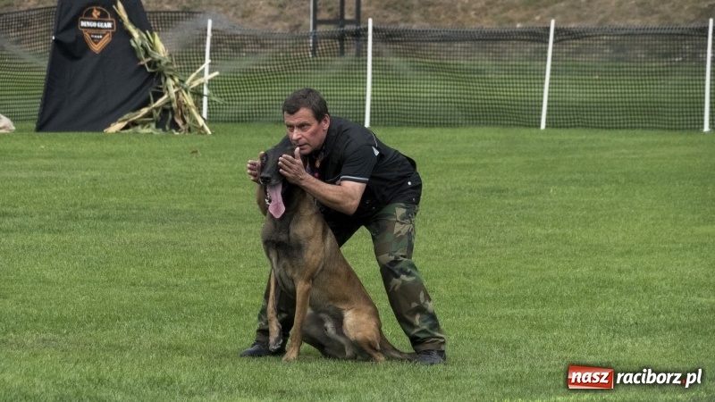 Zdjęcie w galerii na portalu naszraciborz.pl: Miłośnicy psów zjechali do Nędzy. Dwudniowe zmagania w mondioringu  wiadomości z regionu
