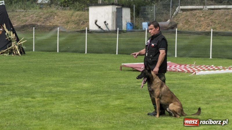 Zdjęcie w galerii na portalu naszraciborz.pl: Miłośnicy psów zjechali do Nędzy. Dwudniowe zmagania w mondioringu  wiadomości z regionu