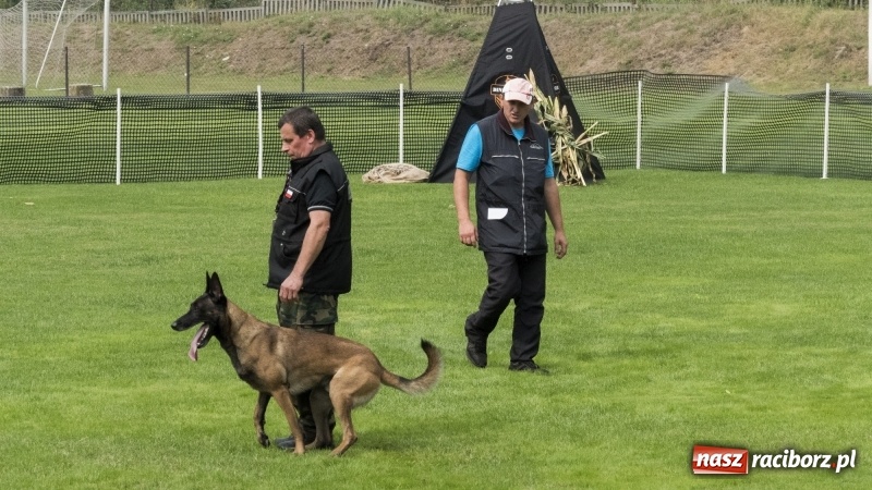 Zdjęcie w galerii na portalu naszraciborz.pl: Miłośnicy psów zjechali do Nędzy. Dwudniowe zmagania w mondioringu  wiadomości z regionu
