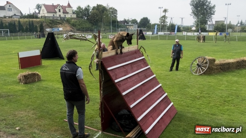 Zdjęcie w galerii na portalu naszraciborz.pl: Miłośnicy psów zjechali do Nędzy. Dwudniowe zmagania w mondioringu  wiadomości z regionu