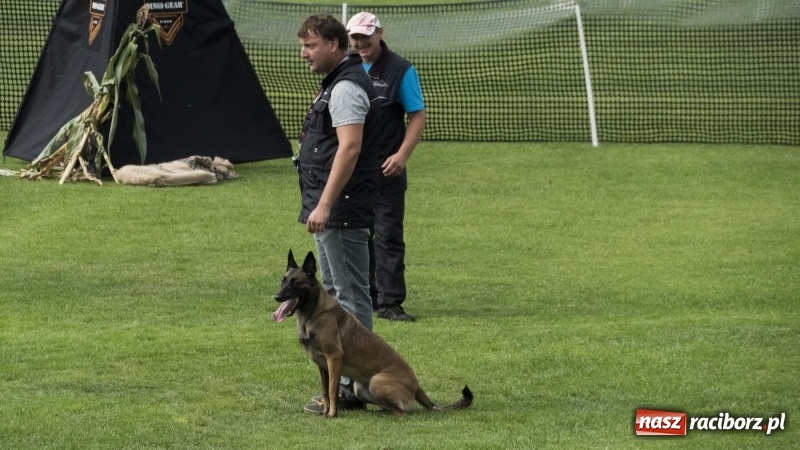 Zdjęcie w galerii na portalu naszraciborz.pl: Miłośnicy psów zjechali do Nędzy. Dwudniowe zmagania w mondioringu  wiadomości z regionu