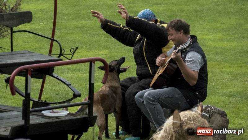 Zdjęcie w galerii na portalu naszraciborz.pl: Miłośnicy psów zjechali do Nędzy. Dwudniowe zmagania w mondioringu  wiadomości z regionu