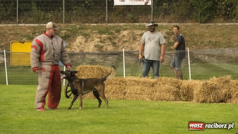 Zdjęcie w galerii na portalu naszraciborz.pl: Miłośnicy psów zjechali do Nędzy. Dwudniowe zmagania w mondioringu  wiadomości z regionu