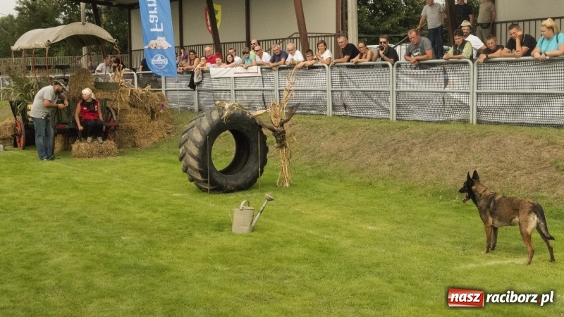 Zdjęcie w galerii na portalu naszraciborz.pl: Miłośnicy psów zjechali do Nędzy. Dwudniowe zmagania w mondioringu  wiadomości z regionu