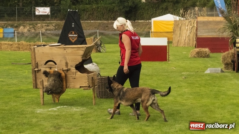 Zdjęcie w galerii na portalu naszraciborz.pl: Miłośnicy psów zjechali do Nędzy. Dwudniowe zmagania w mondioringu  wiadomości z regionu