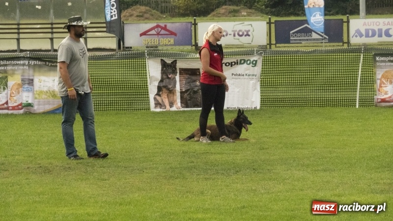 Zdjęcie w galerii na portalu naszraciborz.pl: Miłośnicy psów zjechali do Nędzy. Dwudniowe zmagania w mondioringu  wiadomości z regionu