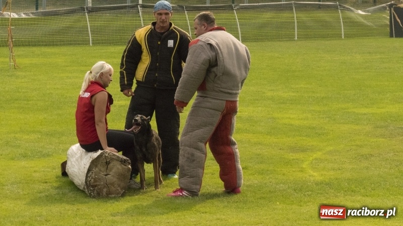 Zdjęcie w galerii na portalu naszraciborz.pl: Miłośnicy psów zjechali do Nędzy. Dwudniowe zmagania w mondioringu  wiadomości z regionu