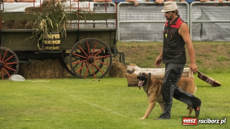 Zdjęcie w galerii na portalu naszraciborz.pl: Miłośnicy psów zjechali do Nędzy. Dwudniowe zmagania w mondioringu  wiadomości z regionu