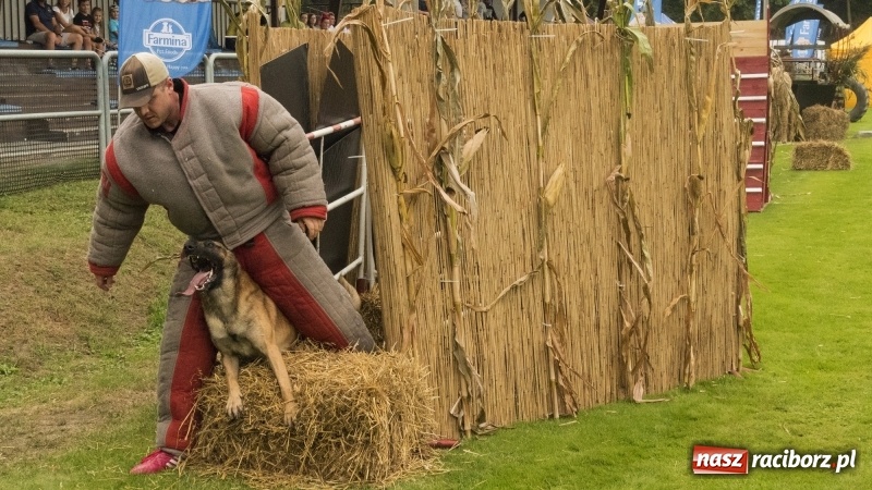 Zdjęcie w galerii na portalu naszraciborz.pl: Miłośnicy psów zjechali do Nędzy. Dwudniowe zmagania w mondioringu  wiadomości z regionu