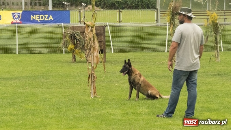 Zdjęcie w galerii na portalu naszraciborz.pl: Miłośnicy psów zjechali do Nędzy. Dwudniowe zmagania w mondioringu  wiadomości z regionu