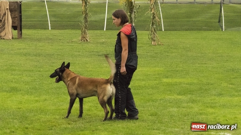 Zdjęcie w galerii na portalu naszraciborz.pl: Miłośnicy psów zjechali do Nędzy. Dwudniowe zmagania w mondioringu  wiadomości z regionu