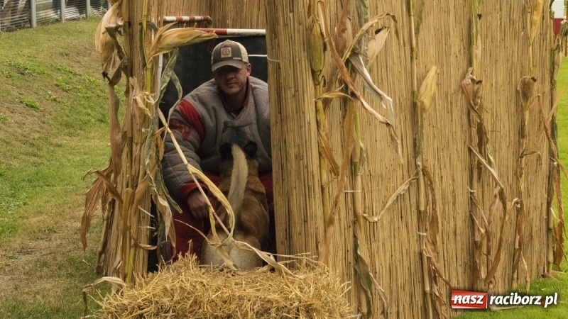 Zdjęcie w galerii na portalu naszraciborz.pl: Miłośnicy psów zjechali do Nędzy. Dwudniowe zmagania w mondioringu  wiadomości z regionu