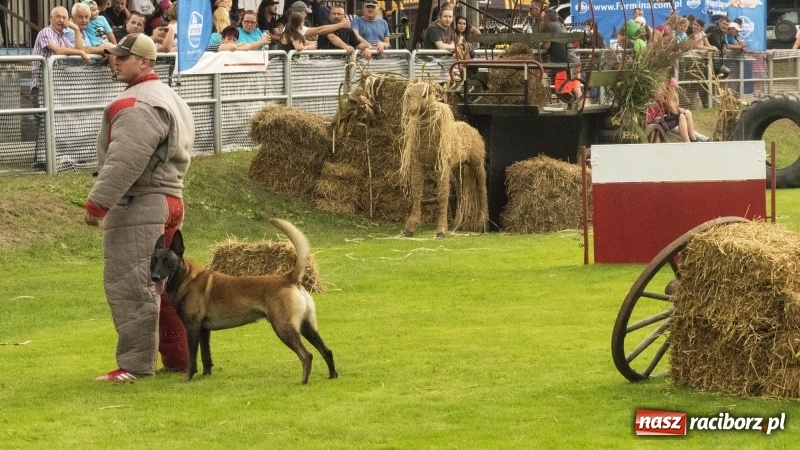 Zdjęcie w galerii na portalu naszraciborz.pl: Miłośnicy psów zjechali do Nędzy. Dwudniowe zmagania w mondioringu  wiadomości z regionu