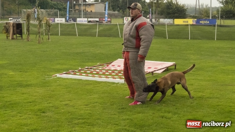 Zdjęcie w galerii na portalu naszraciborz.pl: Miłośnicy psów zjechali do Nędzy. Dwudniowe zmagania w mondioringu  wiadomości z regionu