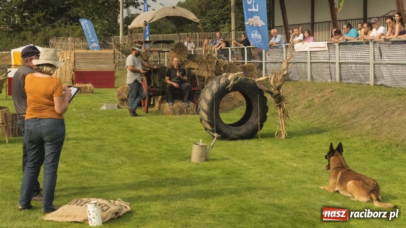 Zdjęcie w galerii na portalu naszraciborz.pl: Miłośnicy psów zjechali do Nędzy. Dwudniowe zmagania w mondioringu  wiadomości z regionu