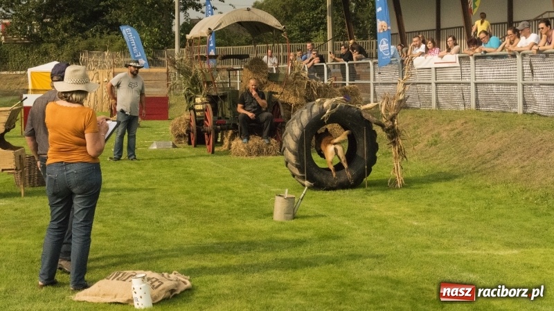 Zdjęcie w galerii na portalu naszraciborz.pl: Miłośnicy psów zjechali do Nędzy. Dwudniowe zmagania w mondioringu  wiadomości z regionu