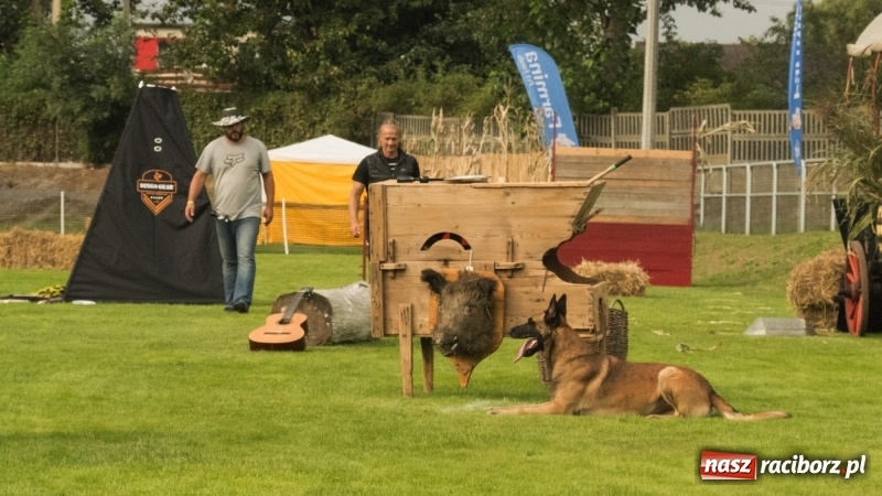 Zdjęcie w galerii na portalu naszraciborz.pl: Miłośnicy psów zjechali do Nędzy. Dwudniowe zmagania w mondioringu  wiadomości z regionu