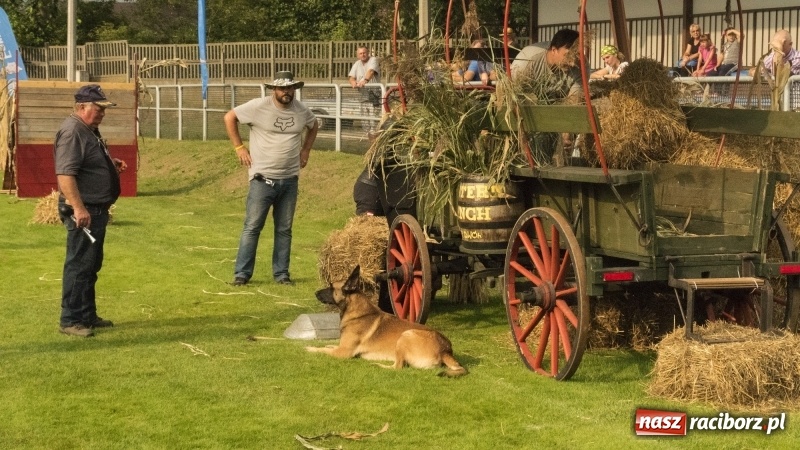 Zdjęcie w galerii na portalu naszraciborz.pl: Miłośnicy psów zjechali do Nędzy. Dwudniowe zmagania w mondioringu  wiadomości z regionu