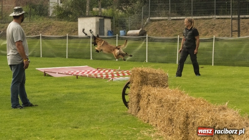 Zdjęcie w galerii na portalu naszraciborz.pl: Miłośnicy psów zjechali do Nędzy. Dwudniowe zmagania w mondioringu  wiadomości z regionu