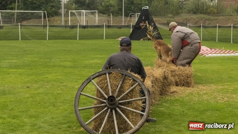Zdjęcie w galerii na portalu naszraciborz.pl: Miłośnicy psów zjechali do Nędzy. Dwudniowe zmagania w mondioringu  wiadomości z regionu