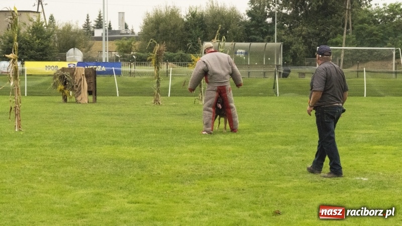 Zdjęcie w galerii na portalu naszraciborz.pl: Miłośnicy psów zjechali do Nędzy. Dwudniowe zmagania w mondioringu  wiadomości z regionu