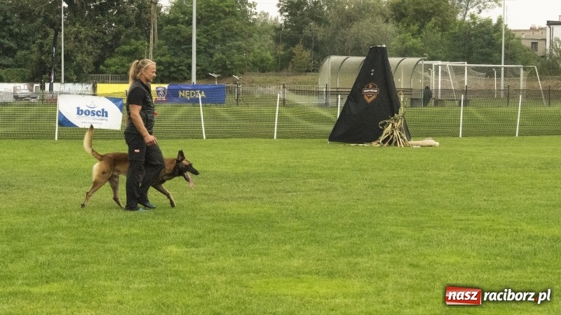 Zdjęcie w galerii na portalu naszraciborz.pl: Miłośnicy psów zjechali do Nędzy. Dwudniowe zmagania w mondioringu  wiadomości z regionu