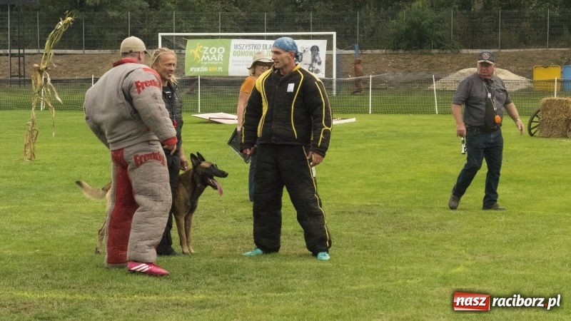 Zdjęcie w galerii na portalu naszraciborz.pl: Miłośnicy psów zjechali do Nędzy. Dwudniowe zmagania w mondioringu  wiadomości z regionu
