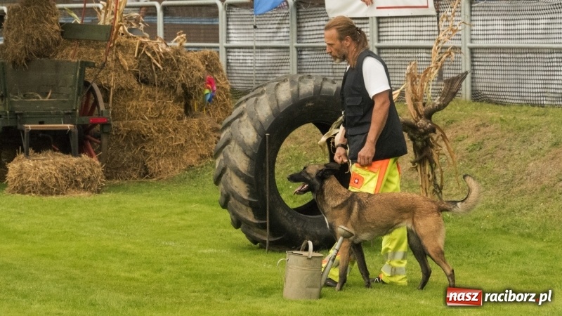 Zdjęcie w galerii na portalu naszraciborz.pl: Miłośnicy psów zjechali do Nędzy. Dwudniowe zmagania w mondioringu  wiadomości z regionu