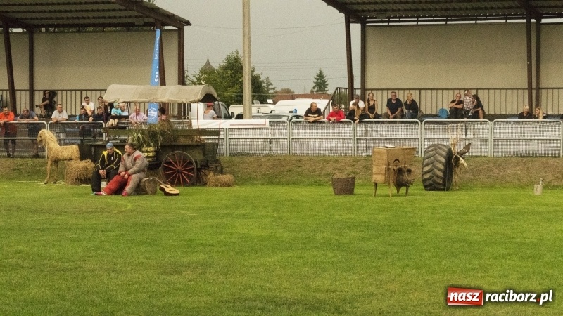 Zdjęcie w galerii na portalu naszraciborz.pl: Miłośnicy psów zjechali do Nędzy. Dwudniowe zmagania w mondioringu  wiadomości z regionu