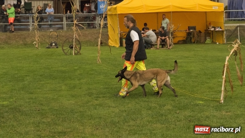 Zdjęcie w galerii na portalu naszraciborz.pl: Miłośnicy psów zjechali do Nędzy. Dwudniowe zmagania w mondioringu  wiadomości z regionu