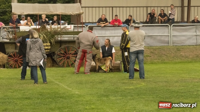 Zdjęcie w galerii na portalu naszraciborz.pl: Miłośnicy psów zjechali do Nędzy. Dwudniowe zmagania w mondioringu  wiadomości z regionu
