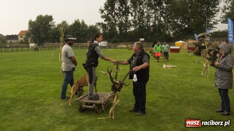 Zdjęcie w galerii na portalu naszraciborz.pl: Miłośnicy psów zjechali do Nędzy. Dwudniowe zmagania w mondioringu  wiadomości z regionu