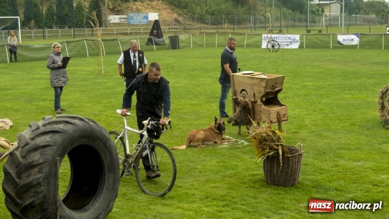 Zdjęcie w galerii na portalu naszraciborz.pl: Miłośnicy psów zjechali do Nędzy. Dwudniowe zmagania w mondioringu  wiadomości z regionu