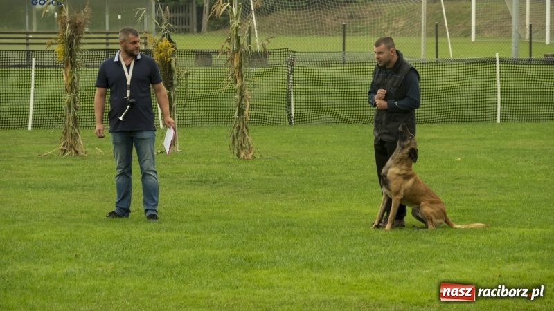 Zdjęcie w galerii na portalu naszraciborz.pl: Miłośnicy psów zjechali do Nędzy. Dwudniowe zmagania w mondioringu  wiadomości z regionu