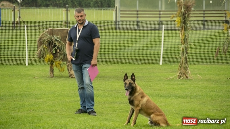 Zdjęcie w galerii na portalu naszraciborz.pl: Miłośnicy psów zjechali do Nędzy. Dwudniowe zmagania w mondioringu  wiadomości z regionu