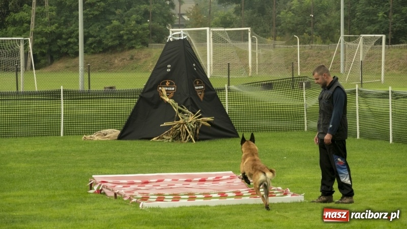 Zdjęcie w galerii na portalu naszraciborz.pl: Miłośnicy psów zjechali do Nędzy. Dwudniowe zmagania w mondioringu  wiadomości z regionu
