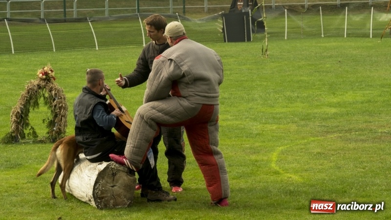 Zdjęcie w galerii na portalu naszraciborz.pl: Miłośnicy psów zjechali do Nędzy. Dwudniowe zmagania w mondioringu  wiadomości z regionu