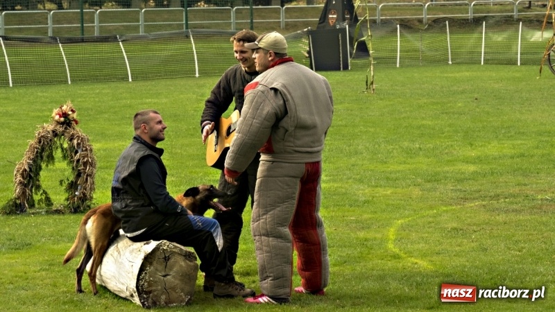 Zdjęcie w galerii na portalu naszraciborz.pl: Miłośnicy psów zjechali do Nędzy. Dwudniowe zmagania w mondioringu  wiadomości z regionu