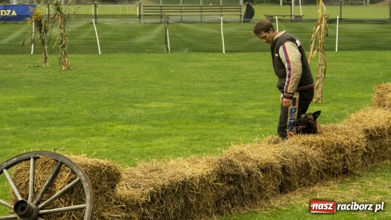 Zdjęcie w galerii na portalu naszraciborz.pl: Miłośnicy psów zjechali do Nędzy. Dwudniowe zmagania w mondioringu  wiadomości z regionu