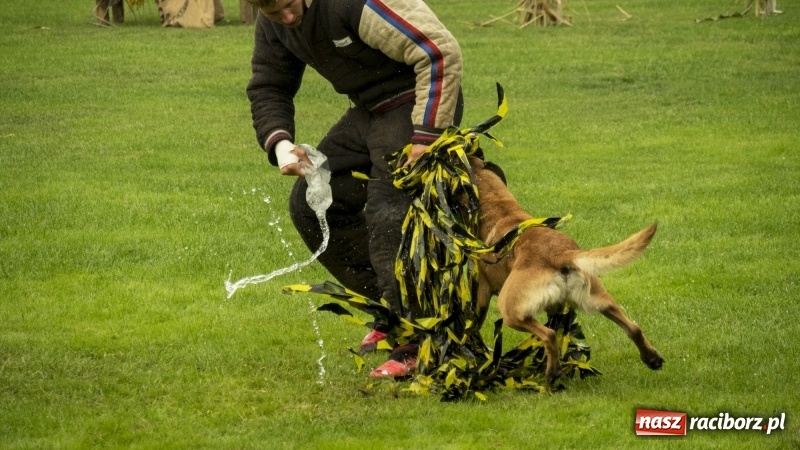Zdjęcie w galerii na portalu naszraciborz.pl: Miłośnicy psów zjechali do Nędzy. Dwudniowe zmagania w mondioringu  wiadomości z regionu