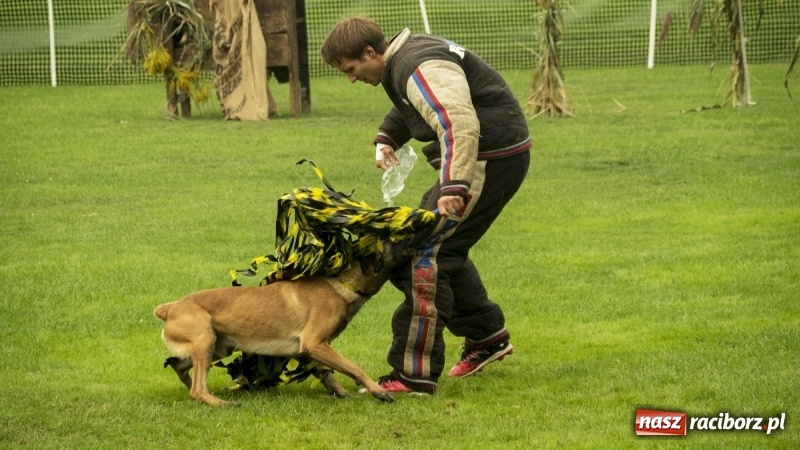Zdjęcie w galerii na portalu naszraciborz.pl: Miłośnicy psów zjechali do Nędzy. Dwudniowe zmagania w mondioringu  wiadomości z regionu