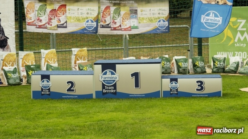 Zdjęcie w galerii na portalu naszraciborz.pl: Miłośnicy psów zjechali do Nędzy. Dwudniowe zmagania w mondioringu  wiadomości z regionu