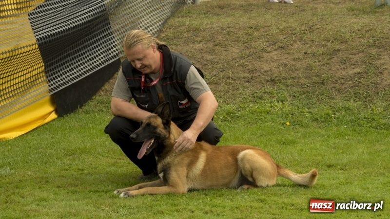 Zdjęcie w galerii na portalu naszraciborz.pl: Miłośnicy psów zjechali do Nędzy. Dwudniowe zmagania w mondioringu  wiadomości z regionu