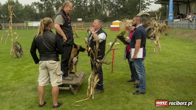 Zdjęcie w galerii na portalu naszraciborz.pl: Miłośnicy psów zjechali do Nędzy. Dwudniowe zmagania w mondioringu  wiadomości z regionu