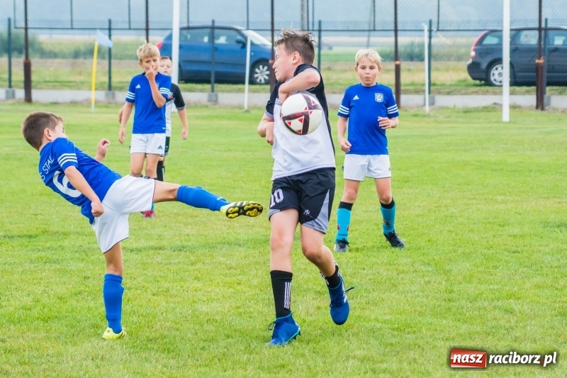 Zdjęcie w galerii na portalu naszraciborz.pl: Orliki z regionu rywalizowały w turnieju Zawada Kids Challenge wiadomości z regionu