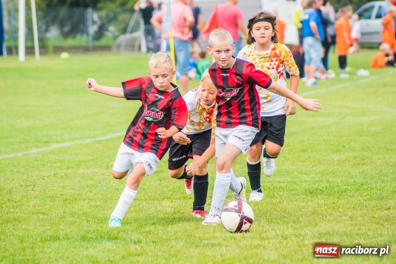 Zdjęcie w galerii na portalu naszraciborz.pl: Orliki z regionu rywalizowały w turnieju Zawada Kids Challenge wiadomości z regionu
